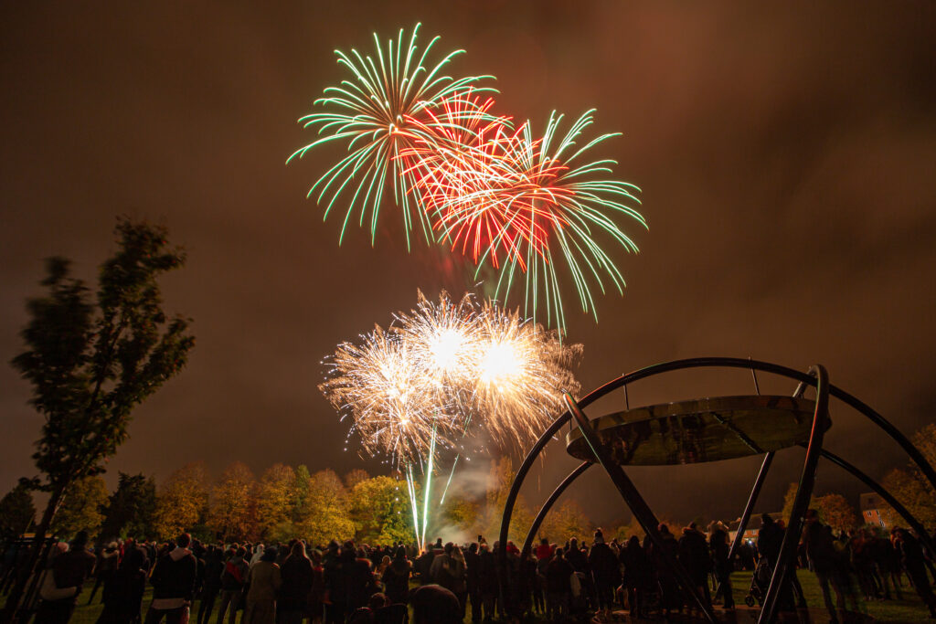 Fireworks in Western Road Recreation Ground